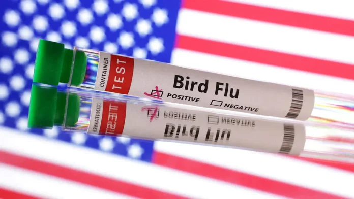 image_172956_1742311035